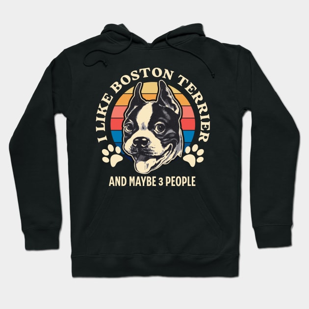 I Like Boston Terrier And Maybe 3 People Hoodie by Raventeez